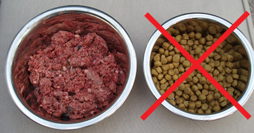 Inexpensive Healthy Dog Food Inexpensive Healthy Dog Food