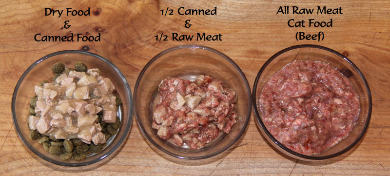 Canned Dog Food Vs Canned Cat Food Canned Dog Food Vs Canned Cat Food
